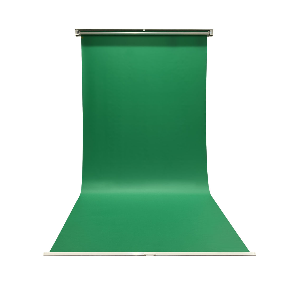 【希少/PSA9】トップサン ドードー 緑背景 greenback 希少/PSA9】トップサン ドードー 緑背景 greenback